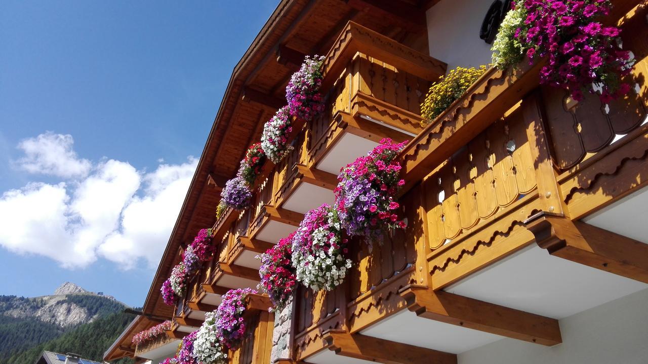 Hotel Al Viel B&B كنازاي المظهر الخارجي الصورة